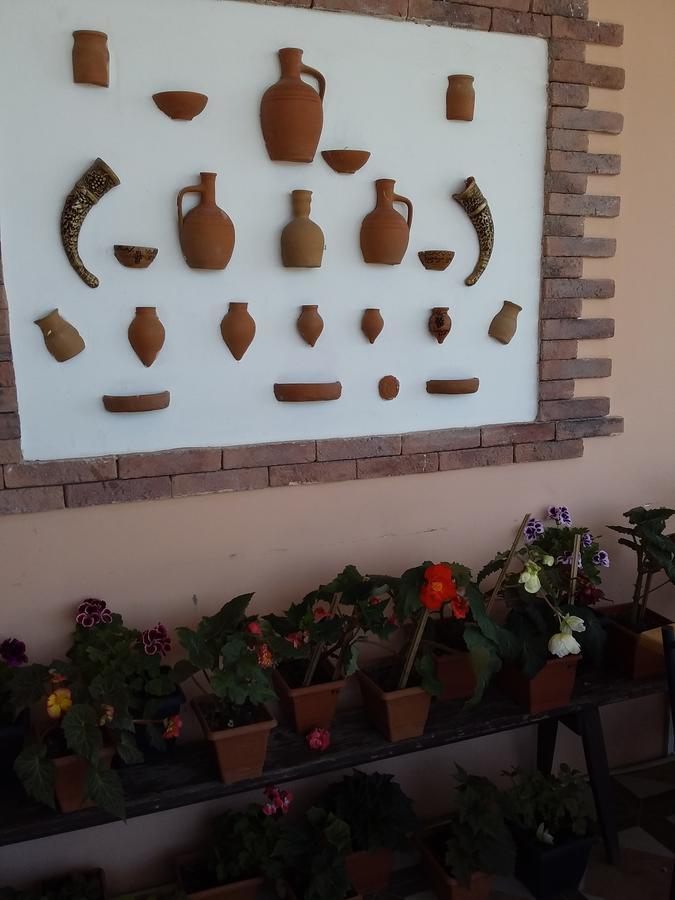 Guest House Medea Telavi Esterno foto